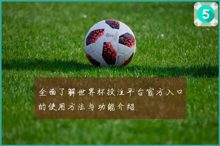 全面了解世界杯投注平台官方入口的使用方法与功能介绍