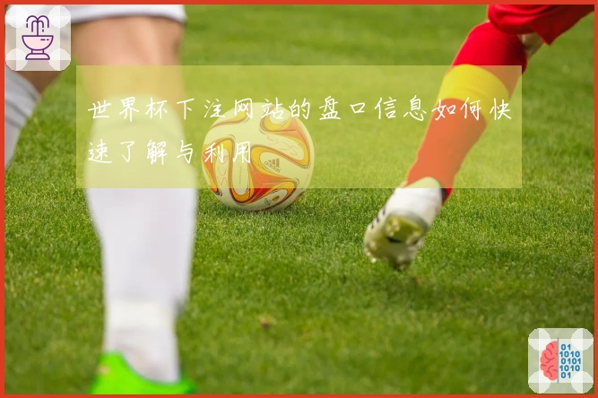 世界杯下注网站的盘口信息如何快速了解与利用