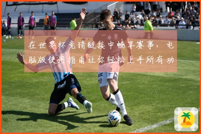 在世界杯竞猜链接中畅享赛事，电脑版使用指南让你轻松上手所有功能