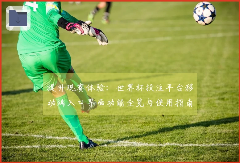 提升观赛体验：世界杯投注平台移动端入口界面功能全览与使用指南