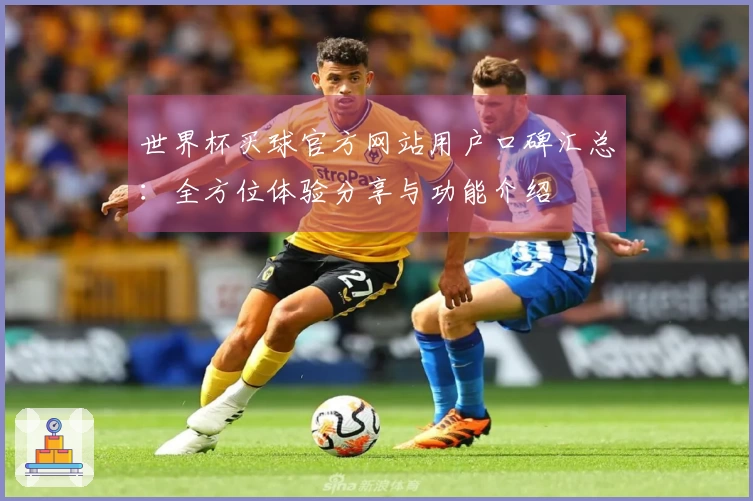 世界杯买球官方网站用户口碑汇总：全方位体验分享与功能介绍