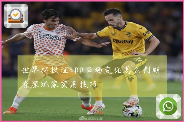 世界杯投注app临场变化怎么判断 资深玩家实用技巧