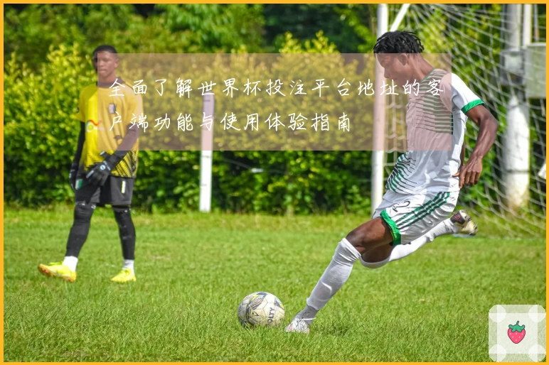 全面了解世界杯投注平台地址的客户端功能与使用体验指南
