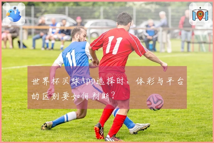 世界杯买球App选择时，体彩与平台的区别要如何判断？