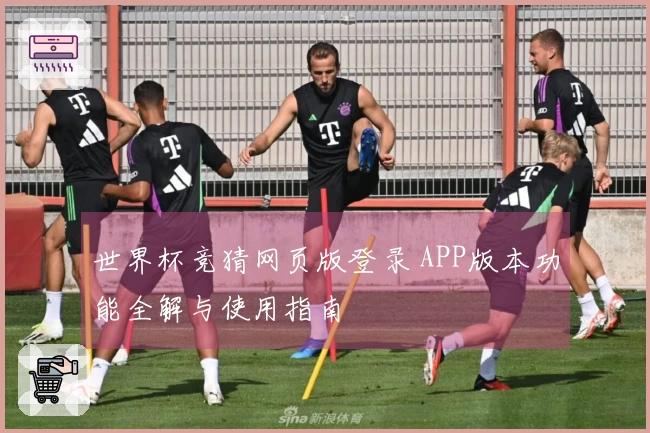 世界杯竞猜网页版登录 APP版本功能全解与使用指南