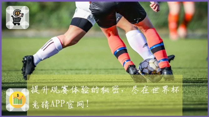 提升观赛体验的秘密，尽在世界杯竞猜APP官网！