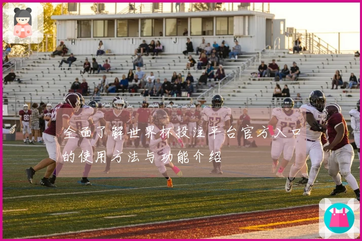 全面了解世界杯投注平台官方入口的使用方法与功能介绍