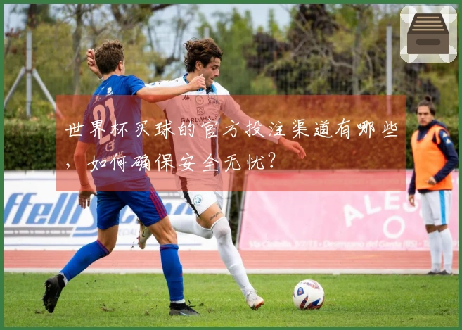 世界杯买球的官方投注渠道有哪些，如何确保安全无忧？