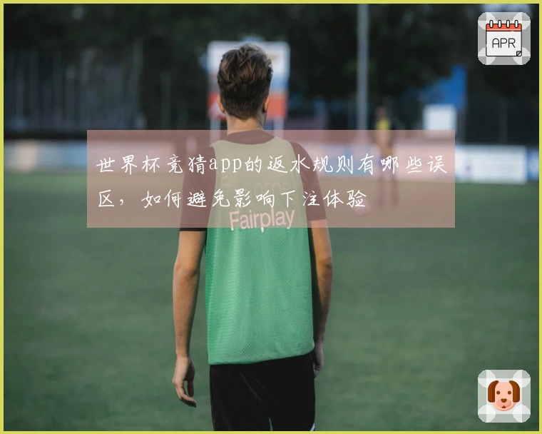 世界杯竞猜app的返水规则有哪些误区，如何避免影响下注体验