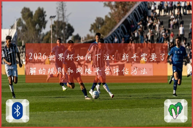 2026世界杯如何下注：新手需要了解的规则和网络平台评估方法